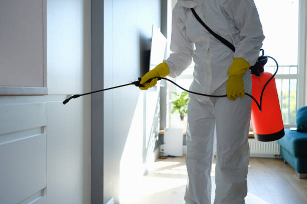 Best Mold Remediation for Healthcare Facilities  in East Missoula, MT