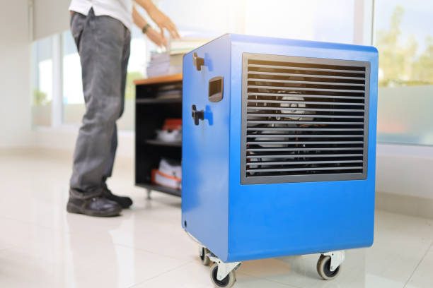Best Black Mold Removal  in East Missoula, MT
