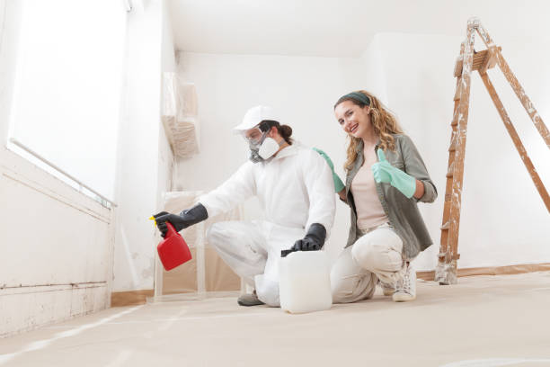 Best HVAC Mold Inspection and Cleaning  in East Missoula, MT