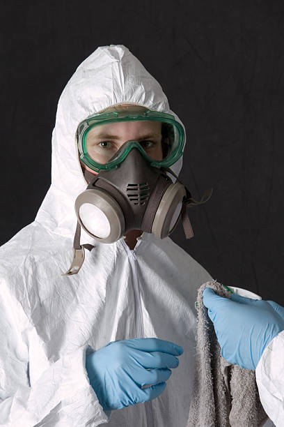Best Mold Prevention Services  in East Missoula, MT